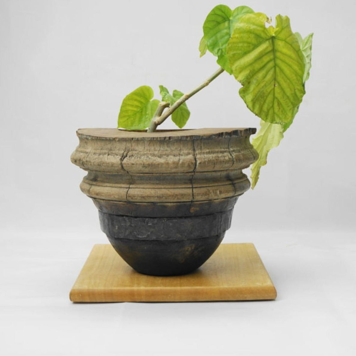 Hub Pot Cover HPC-002