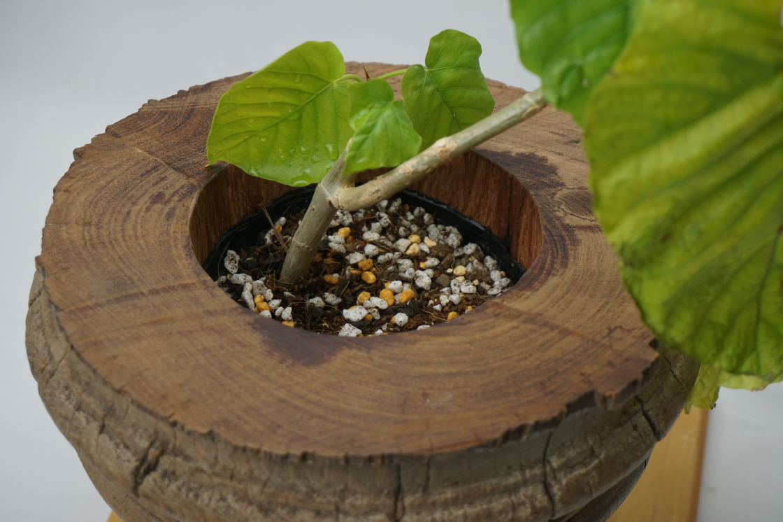 Hub Pot Cover HPC-002